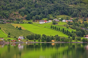 Jolly Sienda Prints: Norway, Norwegian Fjords, red barns, green countryside