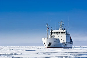 Images Dated 18th June 2005: Norway. Pack ice near Martensoya (Marten Island) Svalbard Archipelago, Norway