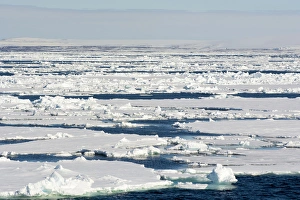 Images Dated 24th June 2014: Norway. Svalbard. Hinlopen Strait. Drift ice extending to the horizon