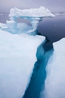 Norway, Svalbard, Nordaustlandet, Melting icebergs along Wahlberg Island in fog