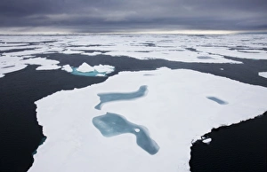Images Dated 7th August 2008: Norway, Svalbard, Nordaustlandet, Small ponds of meltwater on sea ice in summer snow