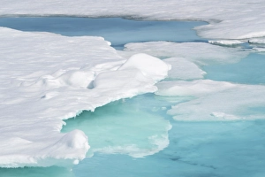 Arctic Ocean Prints: Norway, Svalbard. Pack ice formations