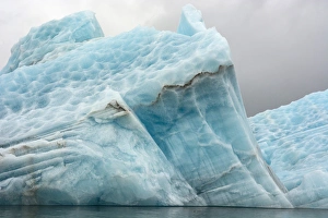 Northern Prints: Norway. Svalbard. Spitsbergen. Hornsund. Brepollen. Icebergs with texture from suncups
