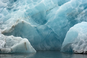 Images Dated 26th June 2014: Norway. Svalbard. Spitsbergen. Hornsund. Brepollen. Icebergs with texture from suncups