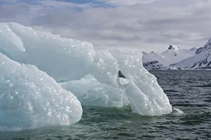 Images Dated 22nd May 2019: Norway, Svalbard, Spitsbergen, Hornsund