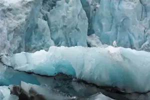Norway. Svalbard. Spitsbergen. Hornsund. Brepollen