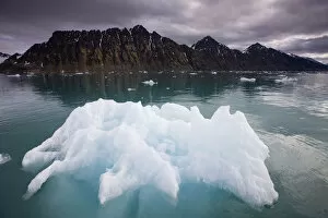 Images Dated 12th August 2008: Norway, Svalbard, Spitsbergen, Iceberg floating in Lilliehookfjorden in Krossfjorden