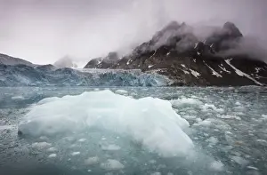 Norway, Svalbard, Spitsbergen, Icebergs floating near face of Lilliehook Glacier