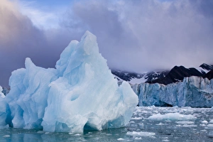 Images Dated 13th August 2008: Norway, Svalbard, Spitsbergen Island, Deep blue icebergs floating near face of Sveabreen