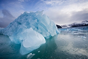 Norway, Svalbard, Spitsbergen Island, Deep blue icebergs floating near face of Sveabreen