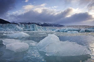 Images Dated 13th August 2008: Norway, Svalbard, Spitsbergen Island, Deep blue icebergs floating near face of Sveabreen