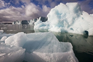 Images Dated 14th August 2008: Norway, Svalbard, Spitsbergen Island, Morning sun lights melting icebergs floating