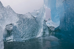 Images Dated 13th August 2008: Norway, Svalbard, Spitsbergen Island, Deep blue icebergs floating near face of Sveabreen