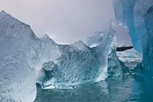 Images Dated 13th August 2008: Norway, Svalbard, Spitsbergen Island, Deep blue icebergs floating near face of Sveabreen