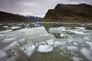 Ice Berg Prints: Norway, Svalbard, Spitsbergen, Small icebergs floating in fjord beneath mountain