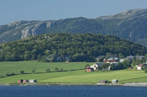 Images Dated 3rd July 2009: Norway, Trondheimsforden, Trondheim. Typical picturesque countryside farm views along