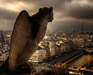 Notre Dame Cathedral, the Seine River and the skyline shimmer on a Paris, France