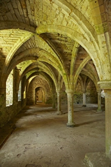 Cloister Prints: The Novices Room, Battle Abbey, Battle, East Sussex, England, United Kingdom