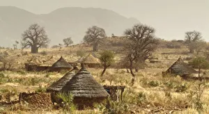 Images Dated 2nd March 2006: Nuba Mountains