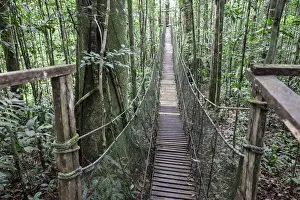 Images Dated 8th September 2014: One of a number of bridges crossing over the jungle forest in the Amazon Natural Park
