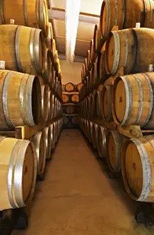 Oak barrels with fermenting wine. Champagne house Maison Giraud-Hemart, also called
