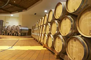 Warehouse Prints: Oak barrels in rows and stainless steel roto-fermenters rotofermenters, Maison Louis Jadot