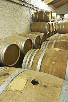 Oak barrique barrels with fermenting white wine, bung hole covered with jute Chateau