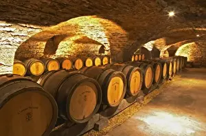 Vaulted Prints: Oak barrles in the cellar at Domaine Comte Senard in Aloxe-Corton, Bourgogne