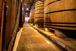 Images Dated 26th August 2024: Oak vats and barrels, Real Companhia Velha winery and cellars