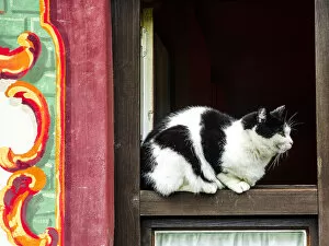 Germany Gallery: Oberammagau, Germany. Black and White Tuxedo Cat sits on a window ledge of a painted