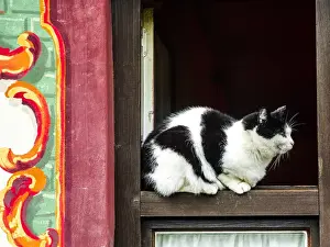 Ledge Prints: Oberammagau, Germany. Black and White Tuxedo Cat sits on a window ledge of a painted