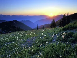 Olympics Prints: Obstruciton Point Sunset, Olympic NP, WA, USA