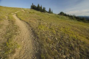 Images Dated 13th February 2007: Obstruction Point. Olympic National Park, Washington, US