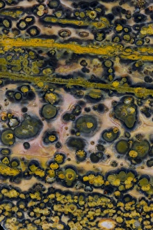 Images Dated 30th August 2012: Ocean Jasper from Madagascar