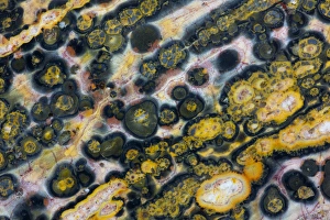 Images Dated 1st September 2012: Ocean Jasper from Madagascar