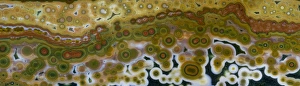 Images Dated 11th September 2012: Ocean Jasper from Madagascar