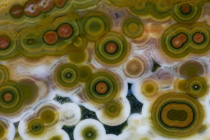 Images Dated 11th September 2012: Ocean Jasper from Madagascar