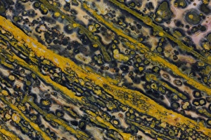 Images Dated 30th August 2012: Ocean Jasper from Madagascar