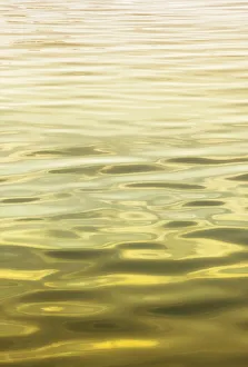 Savanah Plank Prints: Ocean wave abstract