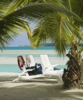 Lounger Prints: Oceania, Cook Islands