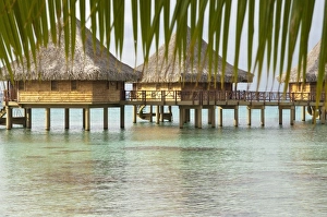 Oceania, French Polynesia