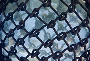 Moorea Prints: Oceania, French Polynesia, Moorea. Detailed view of a glass fishing float. Credit as
