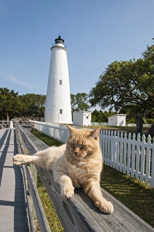 Relaxed Prints: Ocracoke Island Light Station, Outer Banks, North Carolina, USA