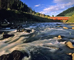 Willamette River Prints: Office Covered Bridge the longest in Oregon at 180ft