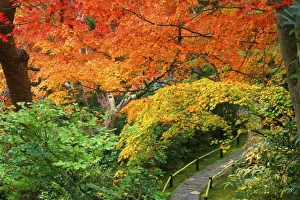 Arashiyama Prints: Okochi Sanso, Arashiyama, Kyoto, Japan