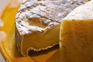Cheese Prints: Old aged St Nectaire cheese. Domaine Piccinini in La Liviniere Minervois. Languedoc