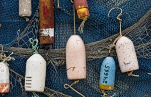 Images Dated 2027: Old buoys hanging with fish nets in Newport, Oregon