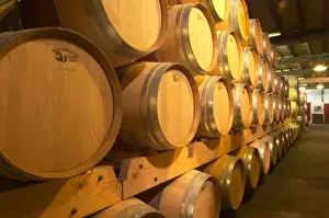 Mature Prints: The old cellar for ageing wines in barrel with rows and rows of oak barriques Chateau