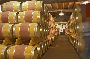 Images Dated 12th November 2012: The old cellar for ageing wines in barrel with rows and rows of oak barriques Chateau