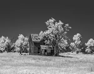 Images Dated 2022: Old deserted farm house with plow